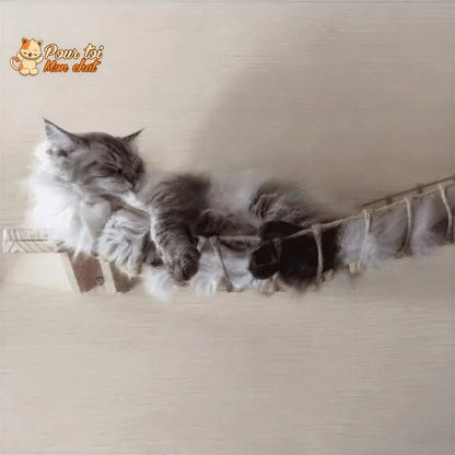 Arbre à chat en forme de pont en bois suspendu Pour toi Mon chat