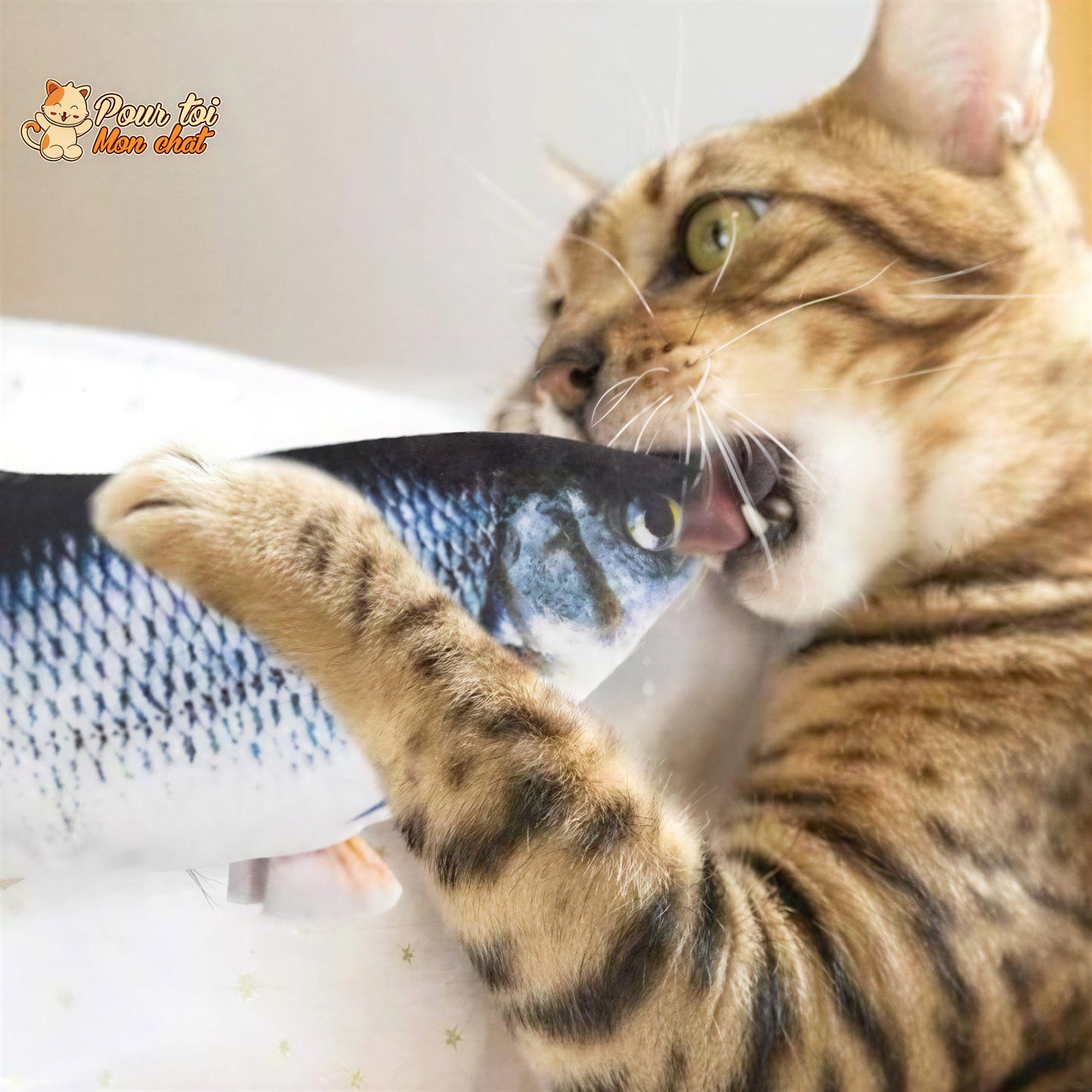 Poisson Sauteur Jouet pour Chat - Attrap'Fish™ Pour toi Mon chat