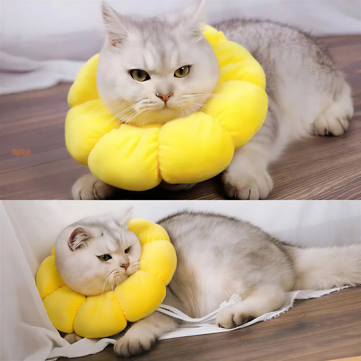 Collerette pour Chat en Forme de Fleur Pour toi Mon chat