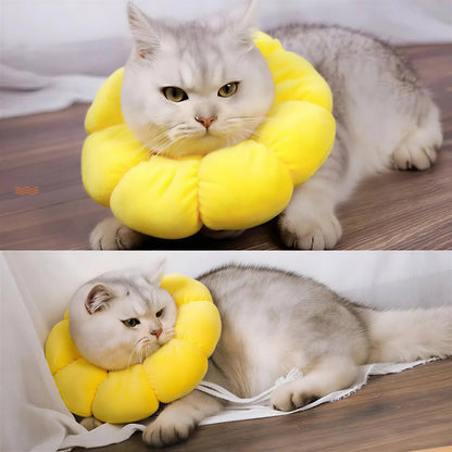 Collerette pour Chat en Forme de Fleur Pour toi Mon chat
