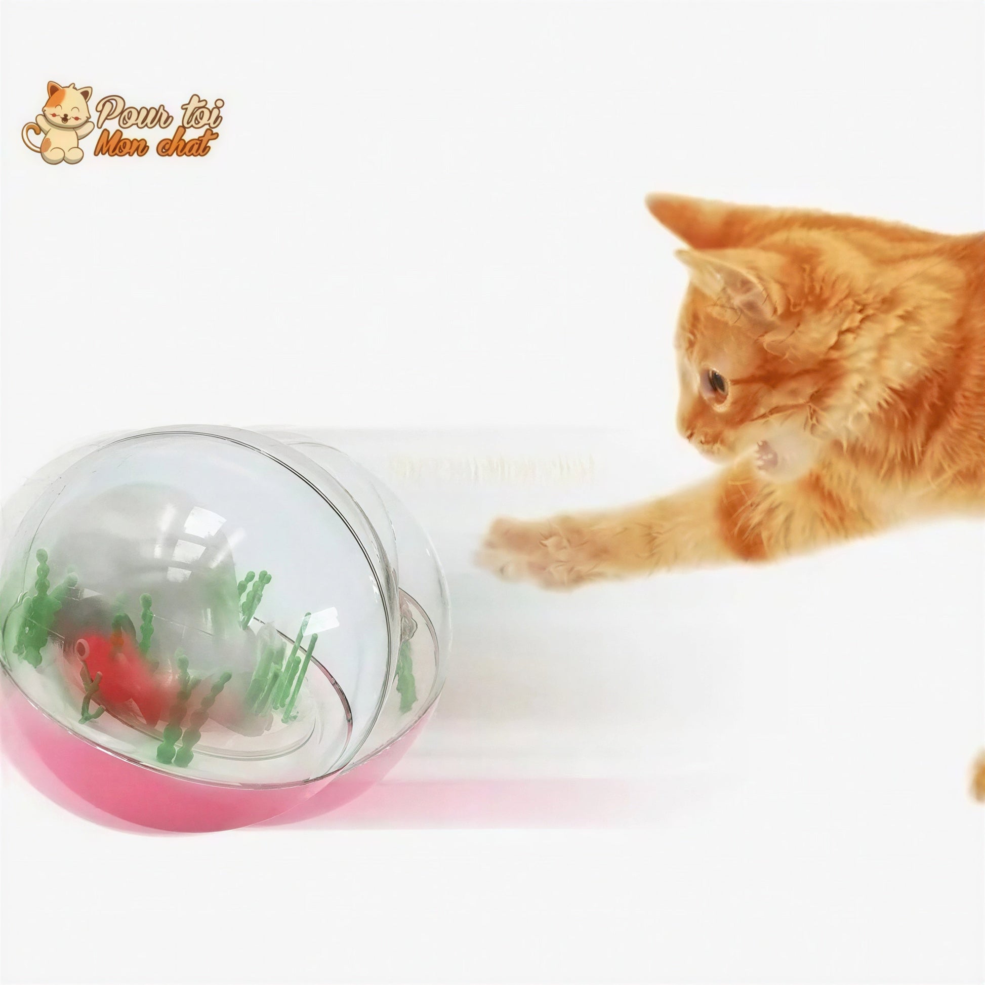 Balle de jeu interactive “aquarium” pour chat - AQUA'CHAT™ Pour toi Mon chat