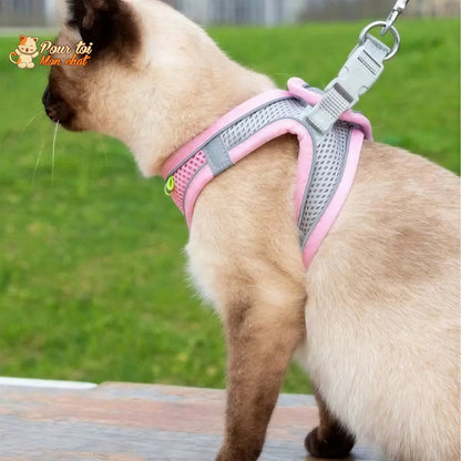 Ensemble de laisse et maille réglable pour chat Pour toi Mon chat