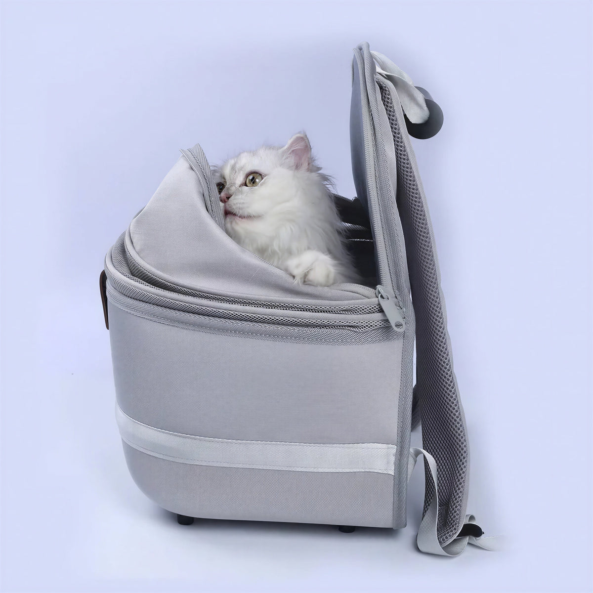 Sac à dos portable et respirant pour chat Pour toi Mon chat