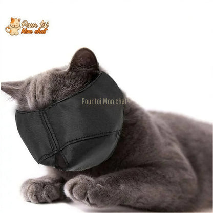 Muselière respirante en nylon - POUR CHAT – Masque4Cat™ Pour toi Mon chat