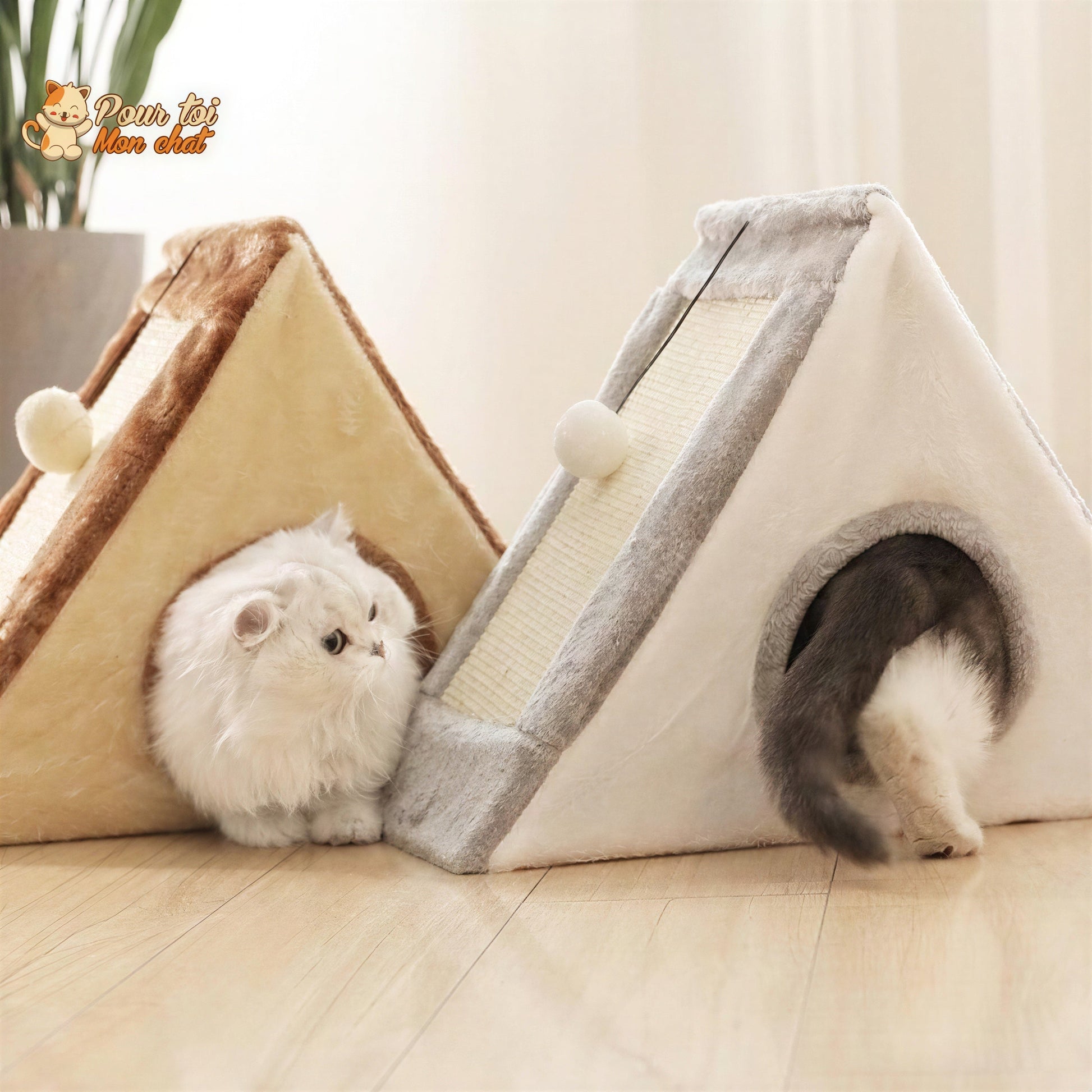 Niche pour Chat avec Grattoir - Crazybed™ Pour toi Mon chat