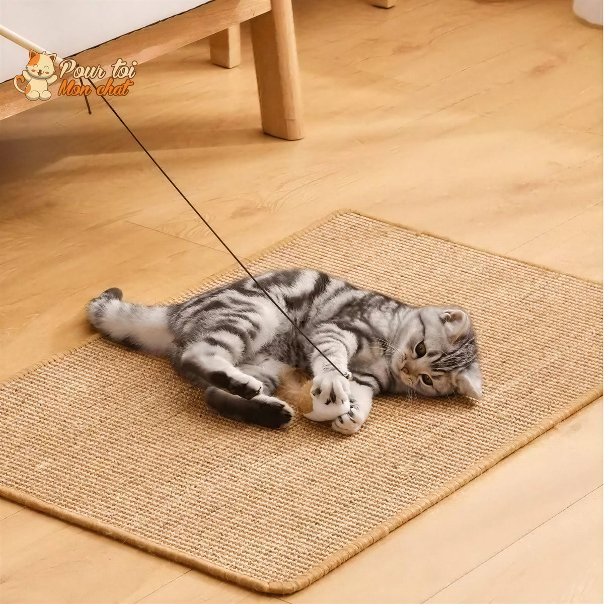 Tapis grattoir pour chats couvre meubles Pour toi Mon chat