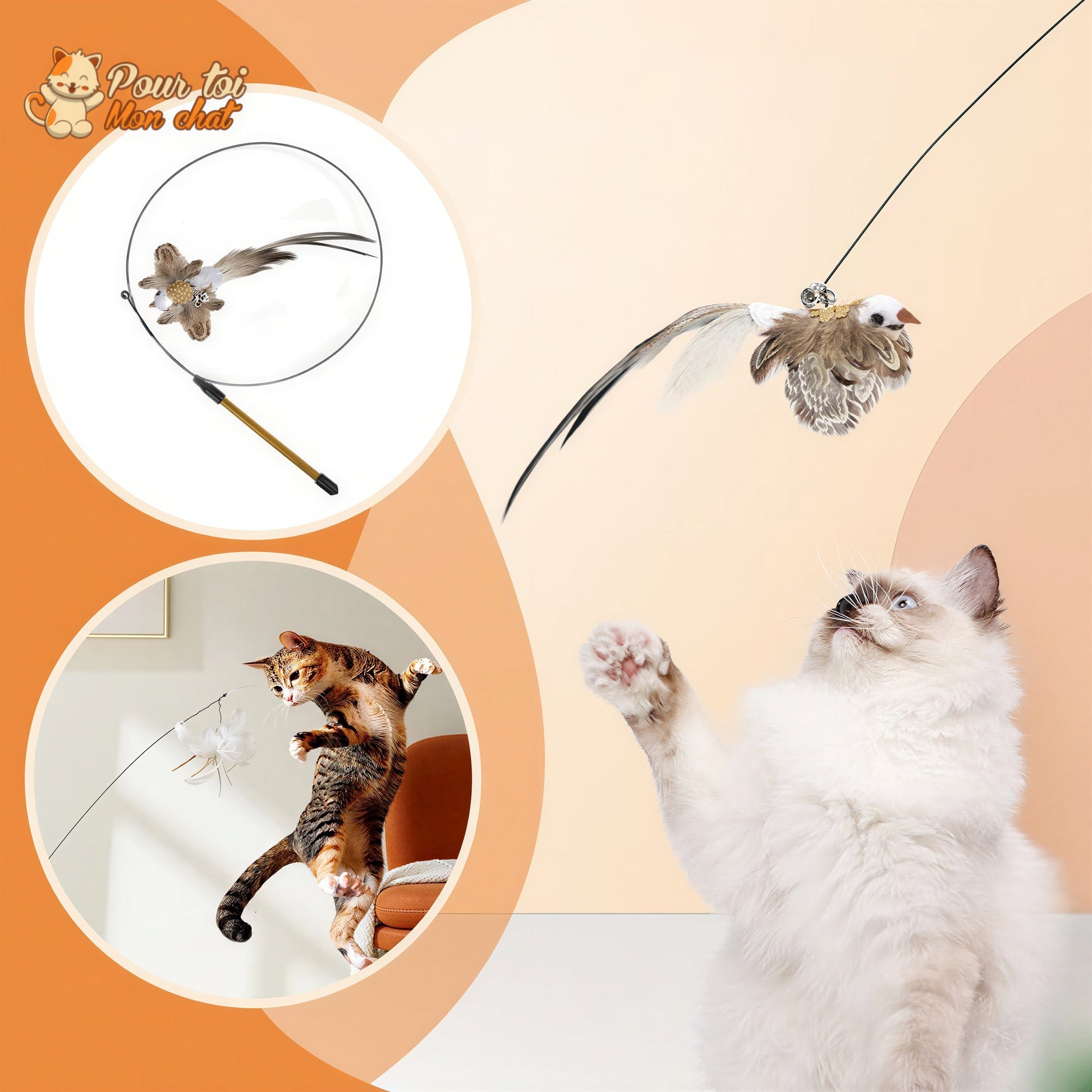 Jouet pour Chat Interactif à Ventouse - Simulation d’Oiseau et Plumes Amovibles Pour toi Mon chat
