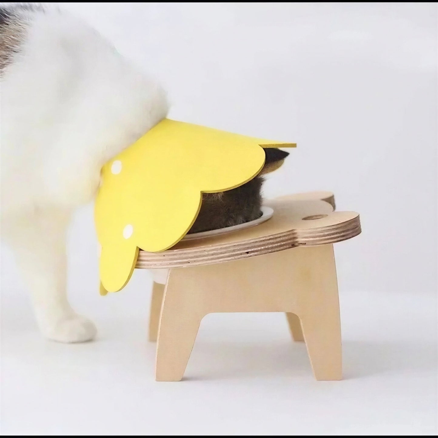 Collerette Chat Réglable et Légère en Forme de Fleur Pour toi Mon chat