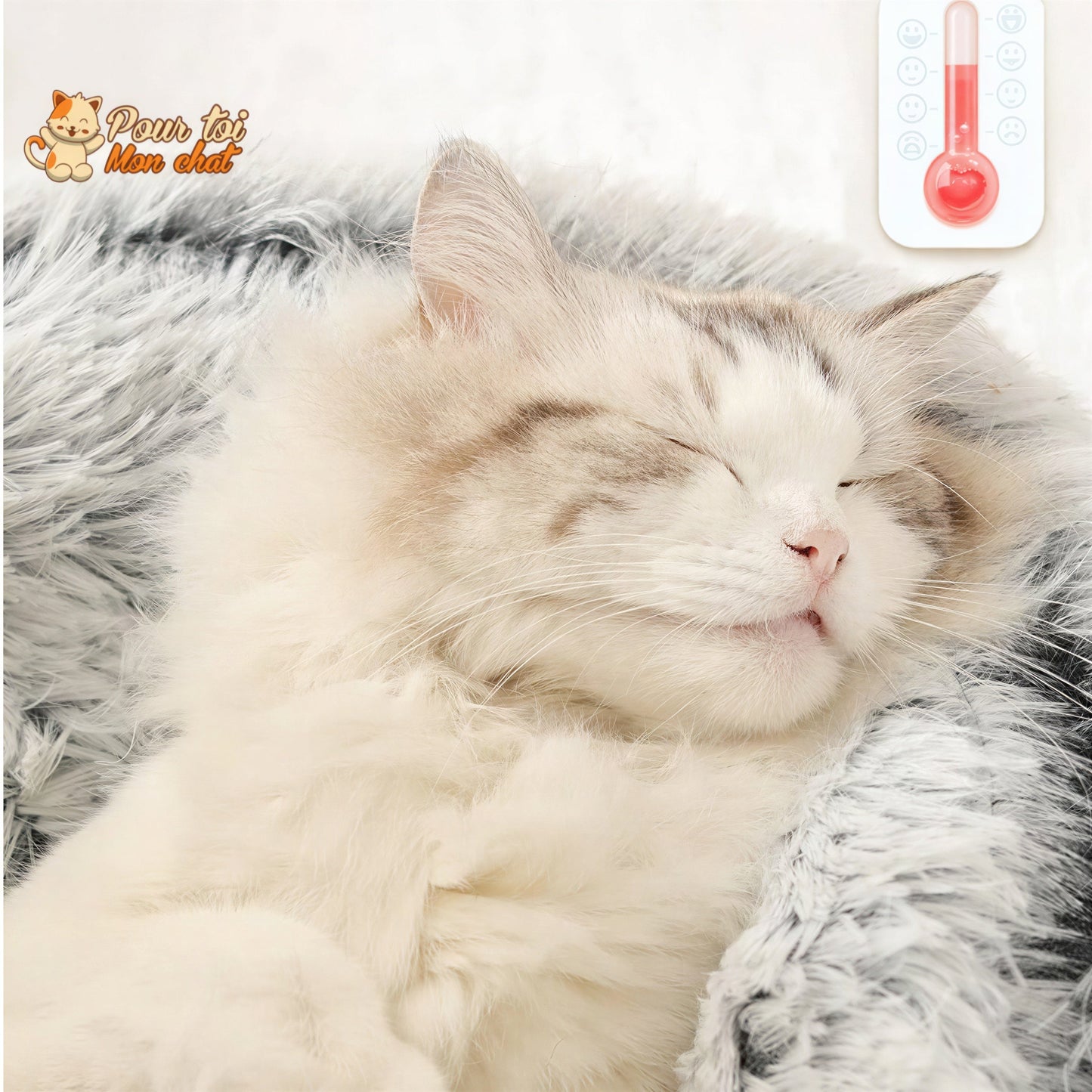 Coussin Moelleux - Niddouillet™ Pour toi Mon chat