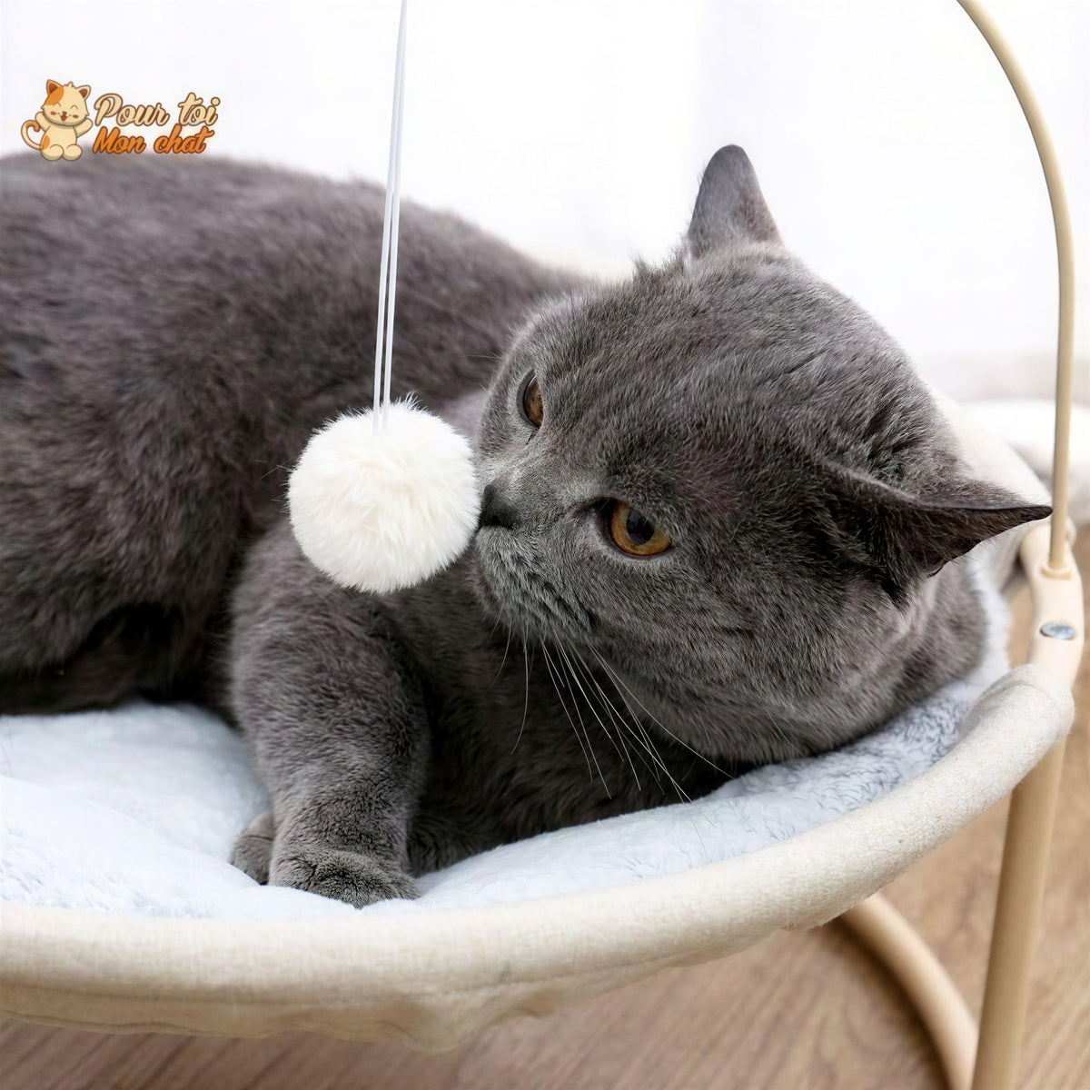 Panier Suspendu avec un Jouet - Hamac4cat™ Pour toi Mon chat