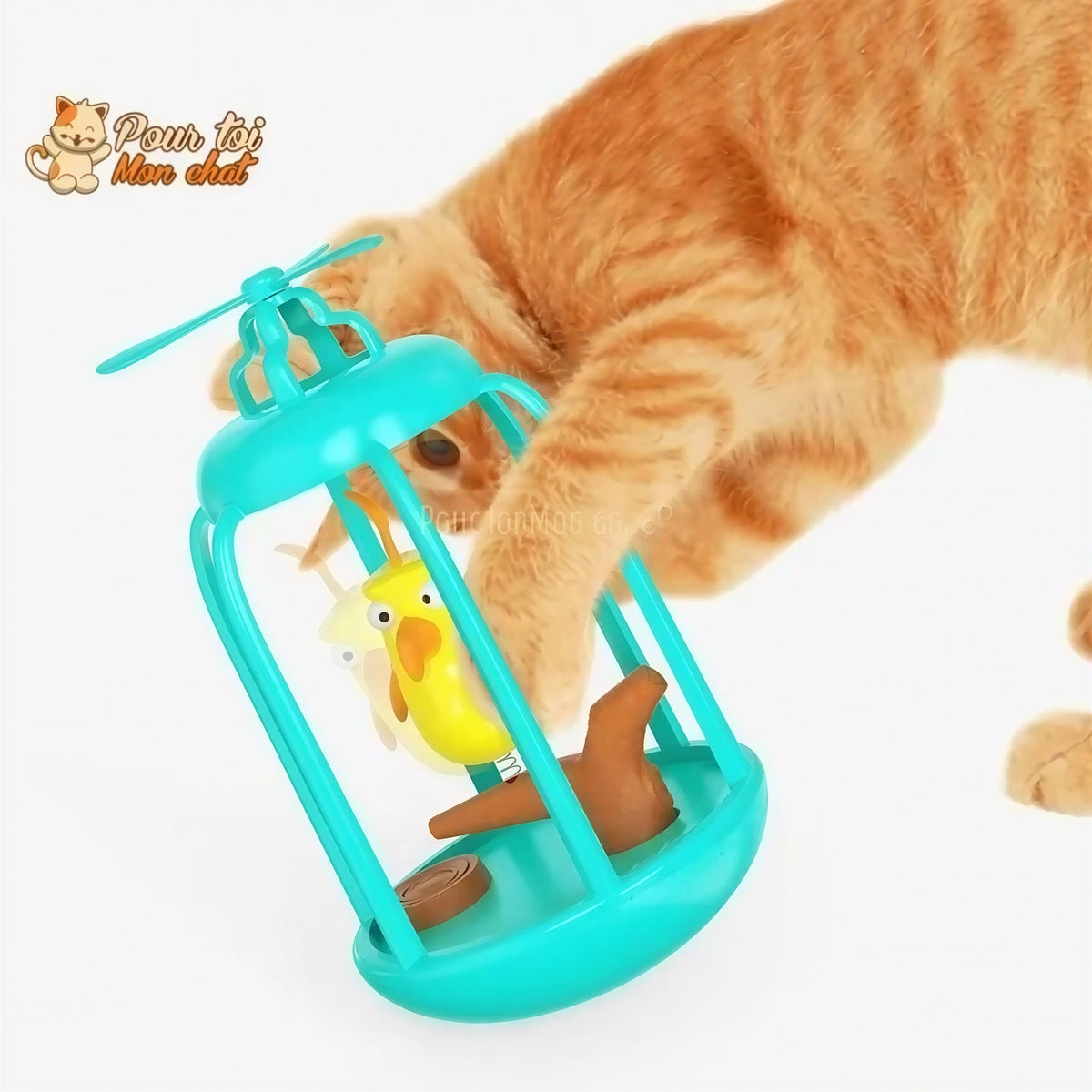 Cage à oiseau ludique pour chat - Titi&GrosMinet™ Pour toi Mon chat