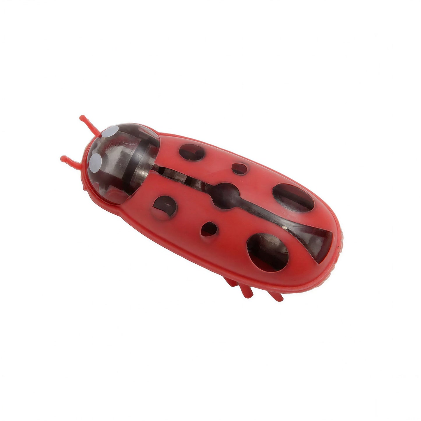 Jouet électrique interactif insecte pour chats Pour toi Mon chat
