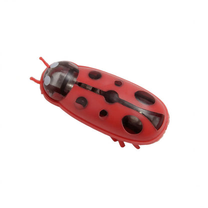 Jouet électrique interactif insecte pour chats Pour toi Mon chat