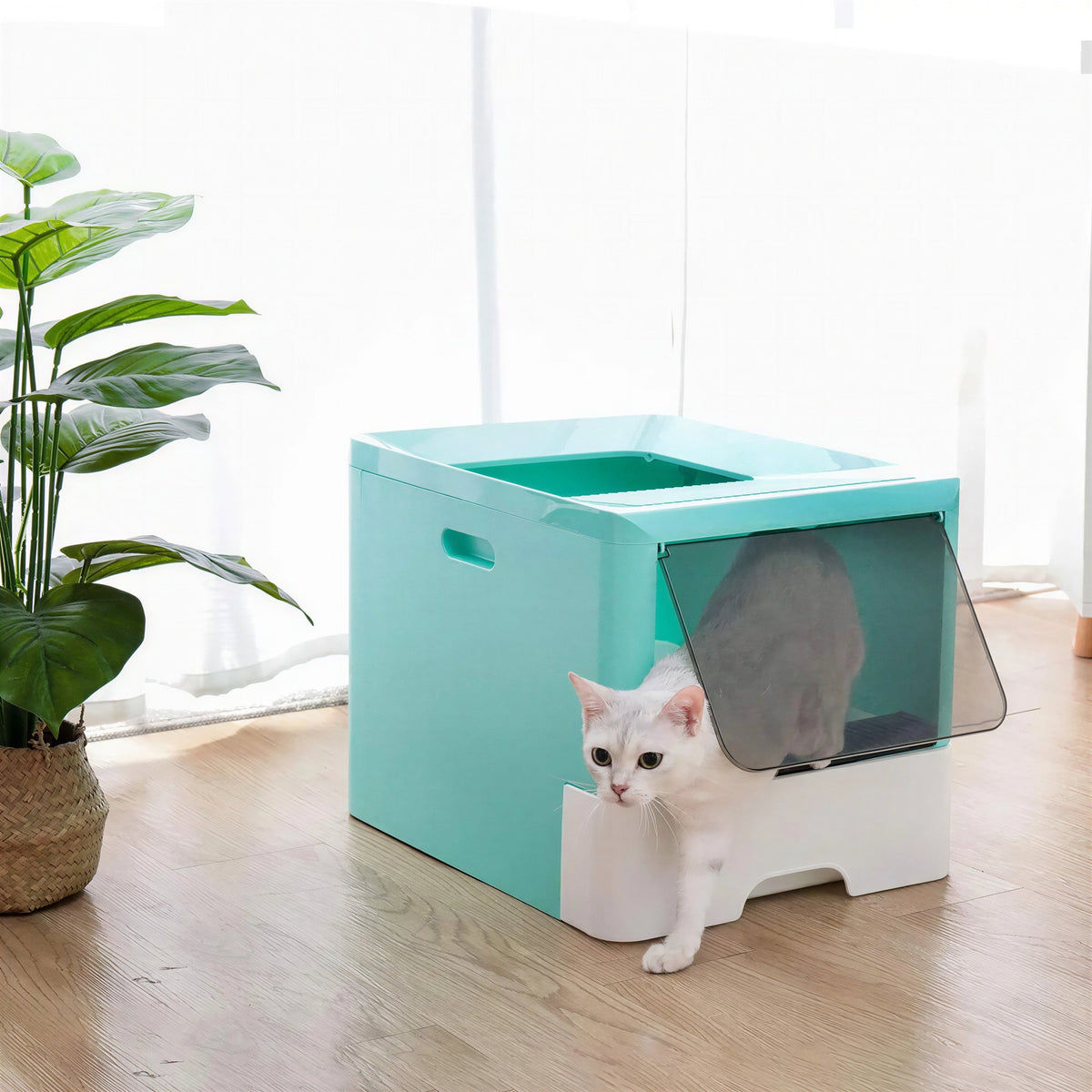 Bac à litière avec pelle pour gros chat Pour toi Mon chat