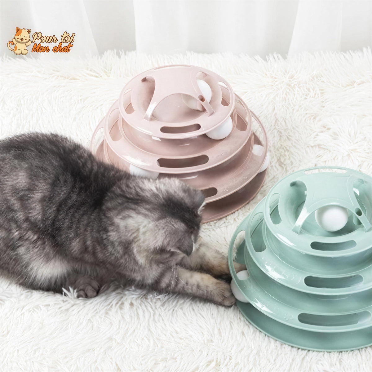 Jouet pour Chat avec Balles - Jeu2pistes™ Pour toi Mon chat