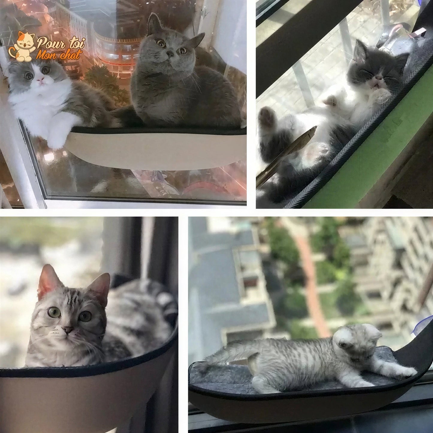 Lit suspendu à ventouses pour chat - Hamac-Fenêtre-Chat™ Pour toi Mon chat