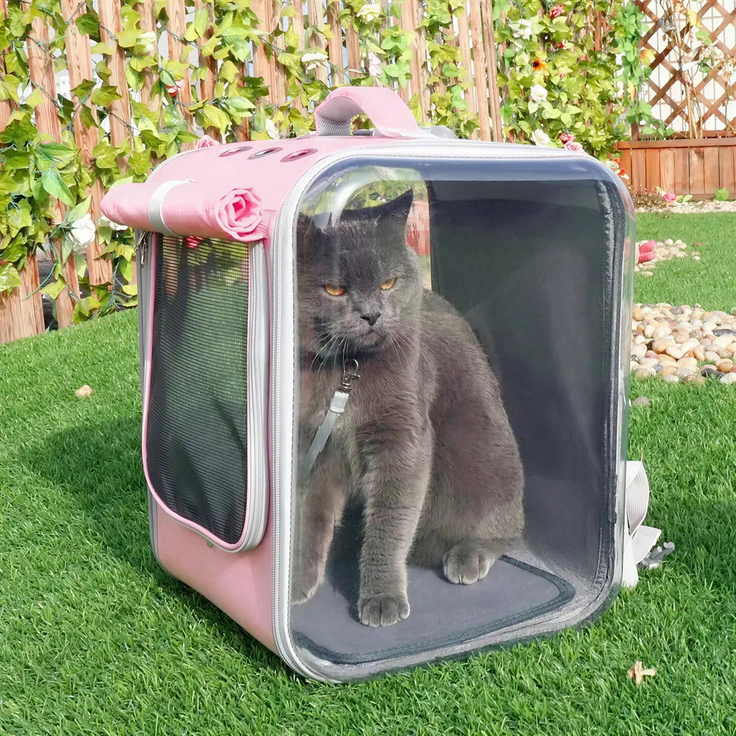 Sac à dos carré de transport spacieux pour chat Pour toi Mon chat