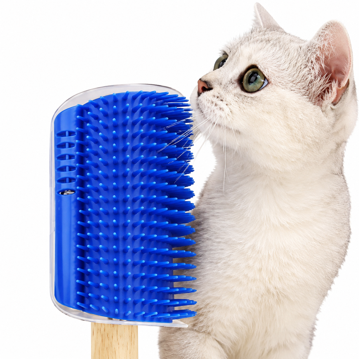 Brosse d’angle, auto-massage pour chats Pour toi Mon chat