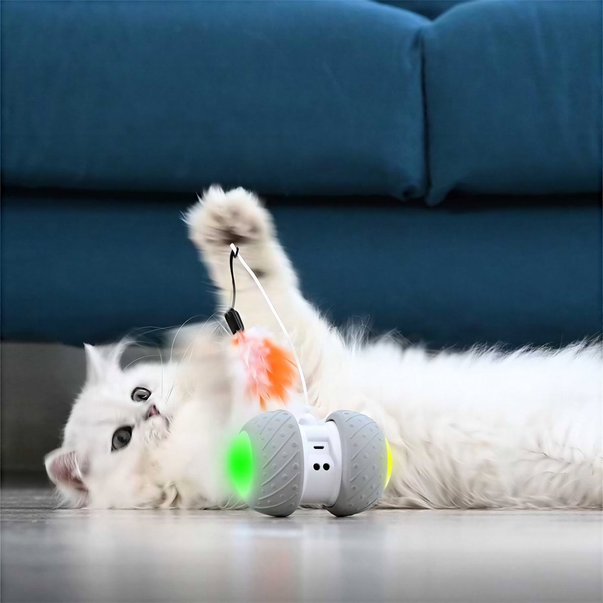 Jouet intelligent interactif pour chat - ROUESàPLUMES™ - Tiges et plumes de rechange Pour toi Mon chat