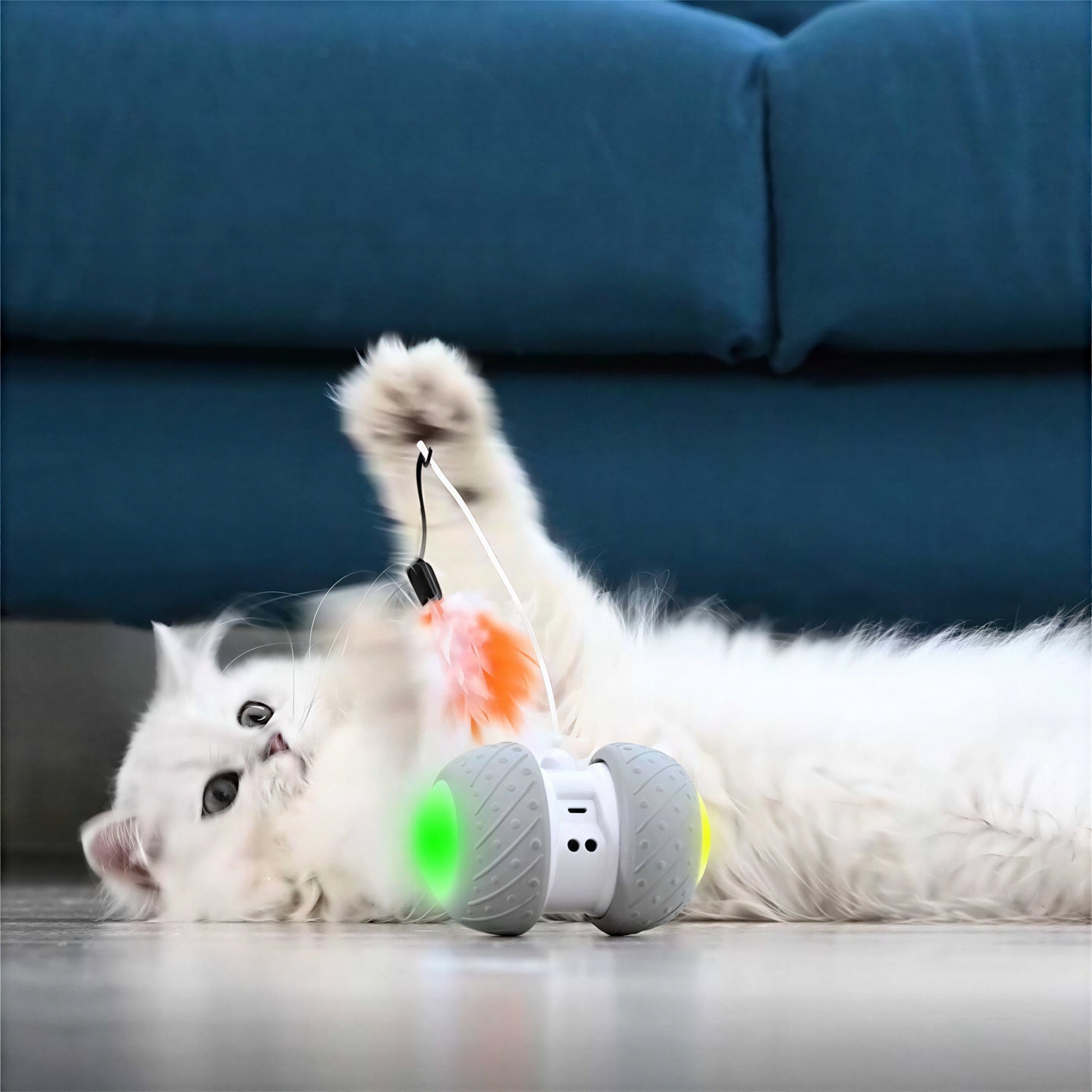 Jouet intelligent interactif pour chat - ROUESàPLUMES™ - Tiges et plumes de rechange Pour toi Mon chat