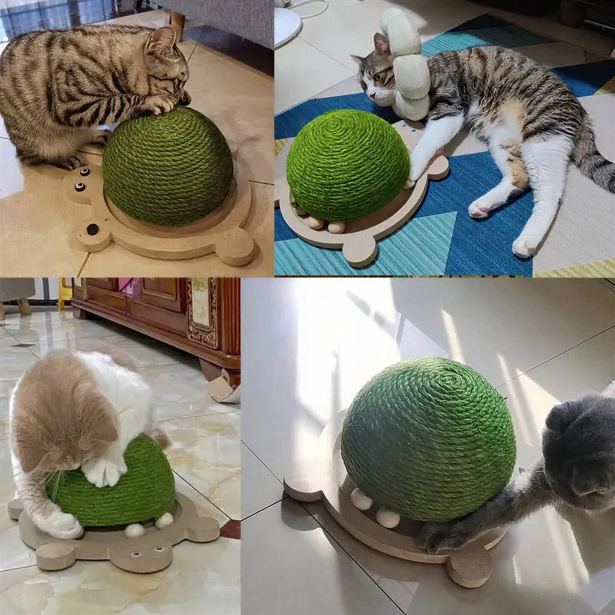 Jouet à gratter durable en forme de tortue en sisal pour chat Pour toi Mon chat