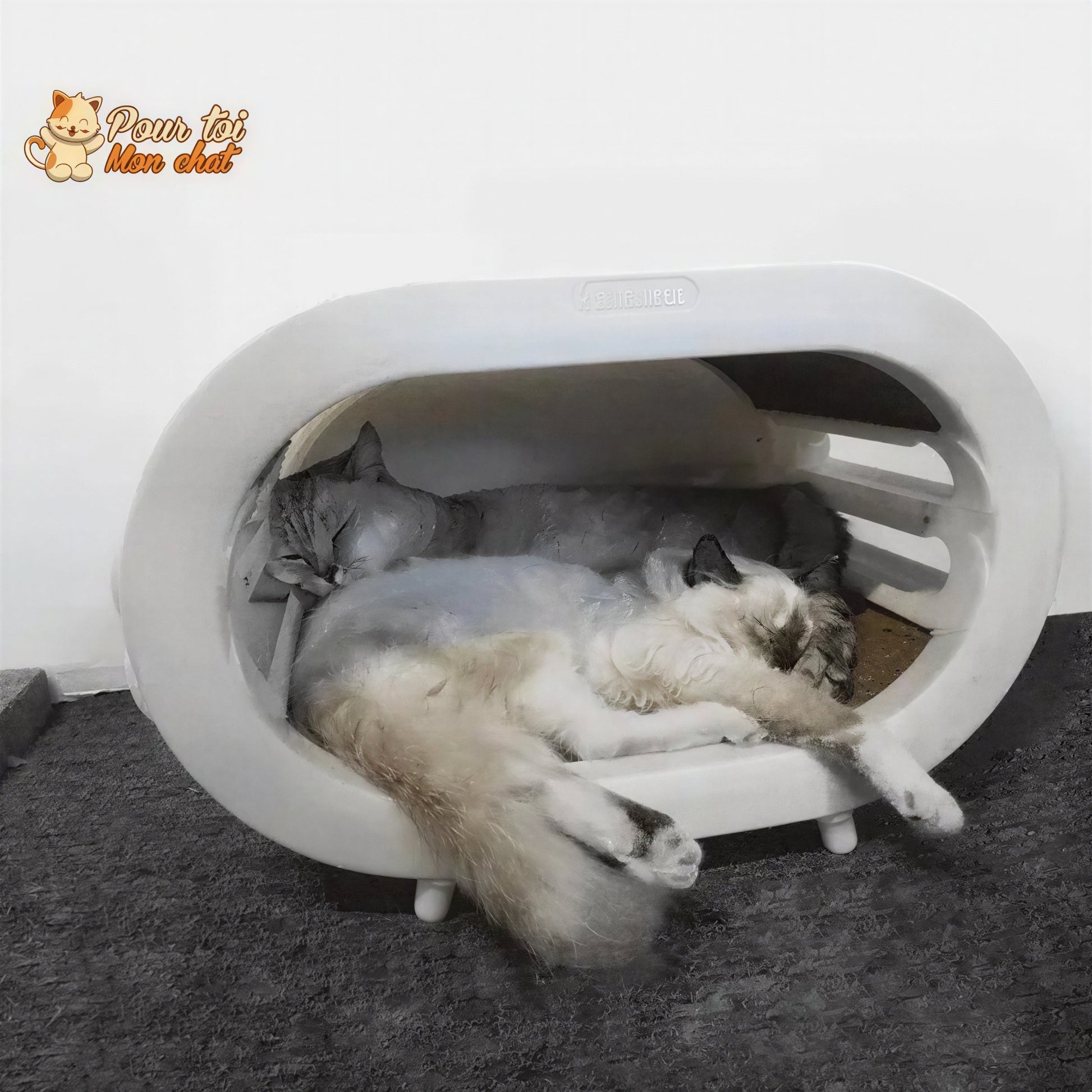 Griffoir ludique, design et spacieux pour chats Pour toi Mon chat