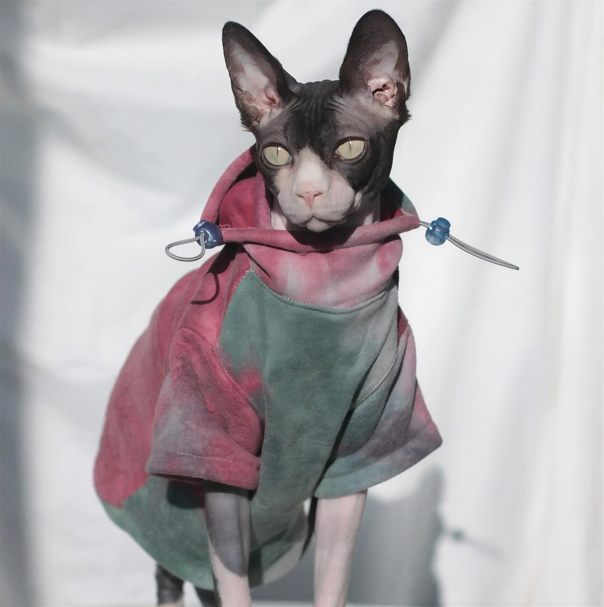 Pull Chat Épais et Chaud Pour toi Mon chat