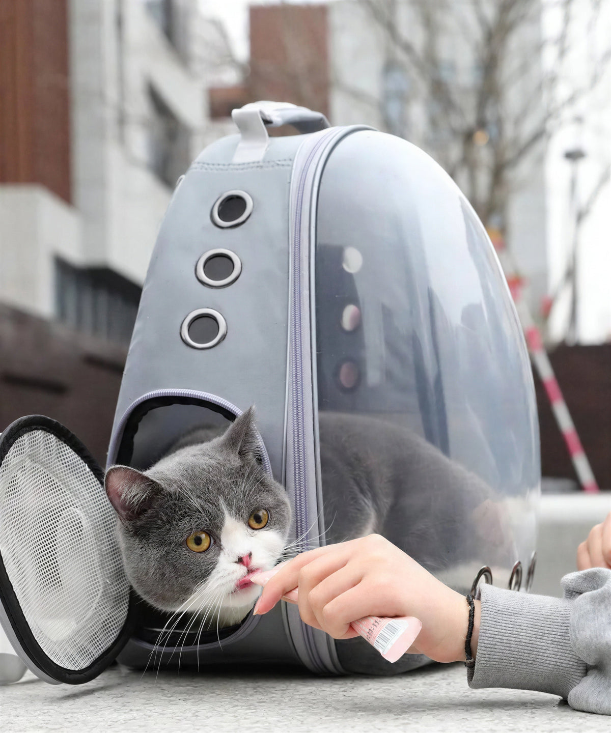 Sac à dos de transport pour chat avec hublot transparent Pour toi Mon chat