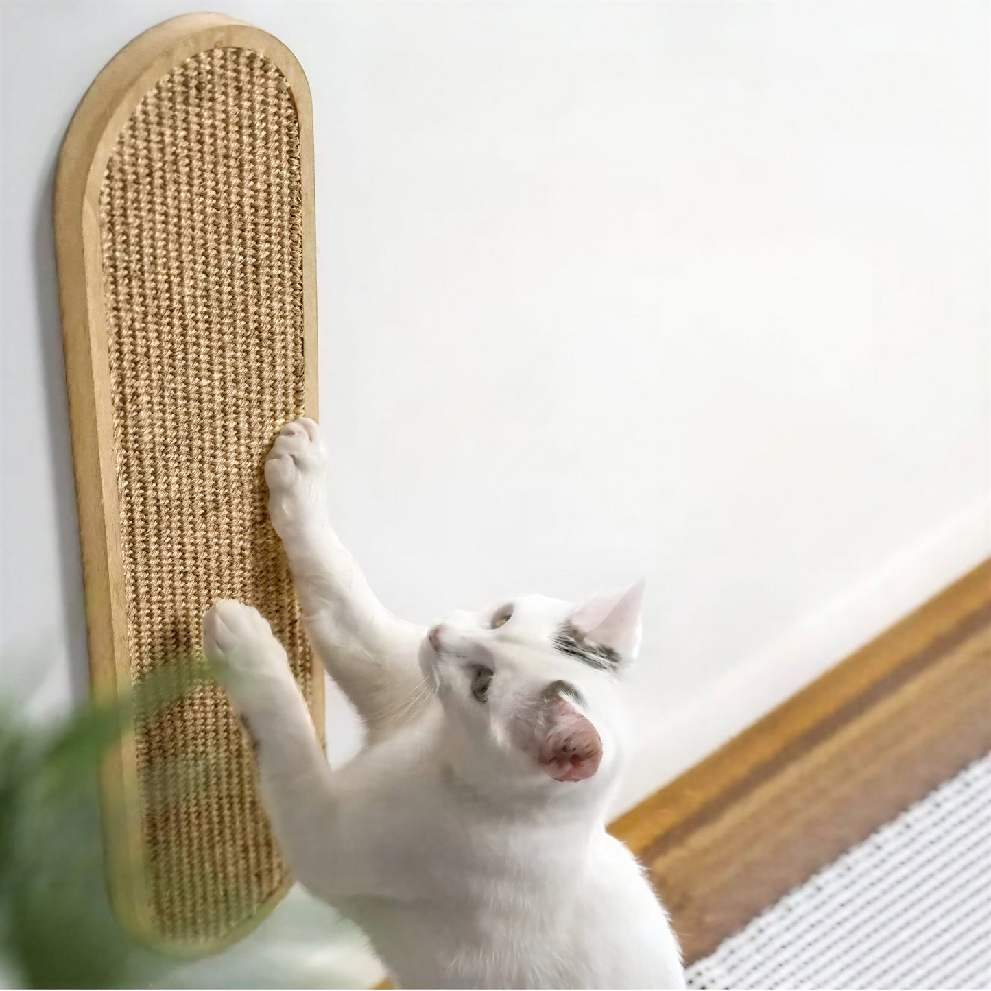 Grattoir mural en sisal pour chat - vue 8