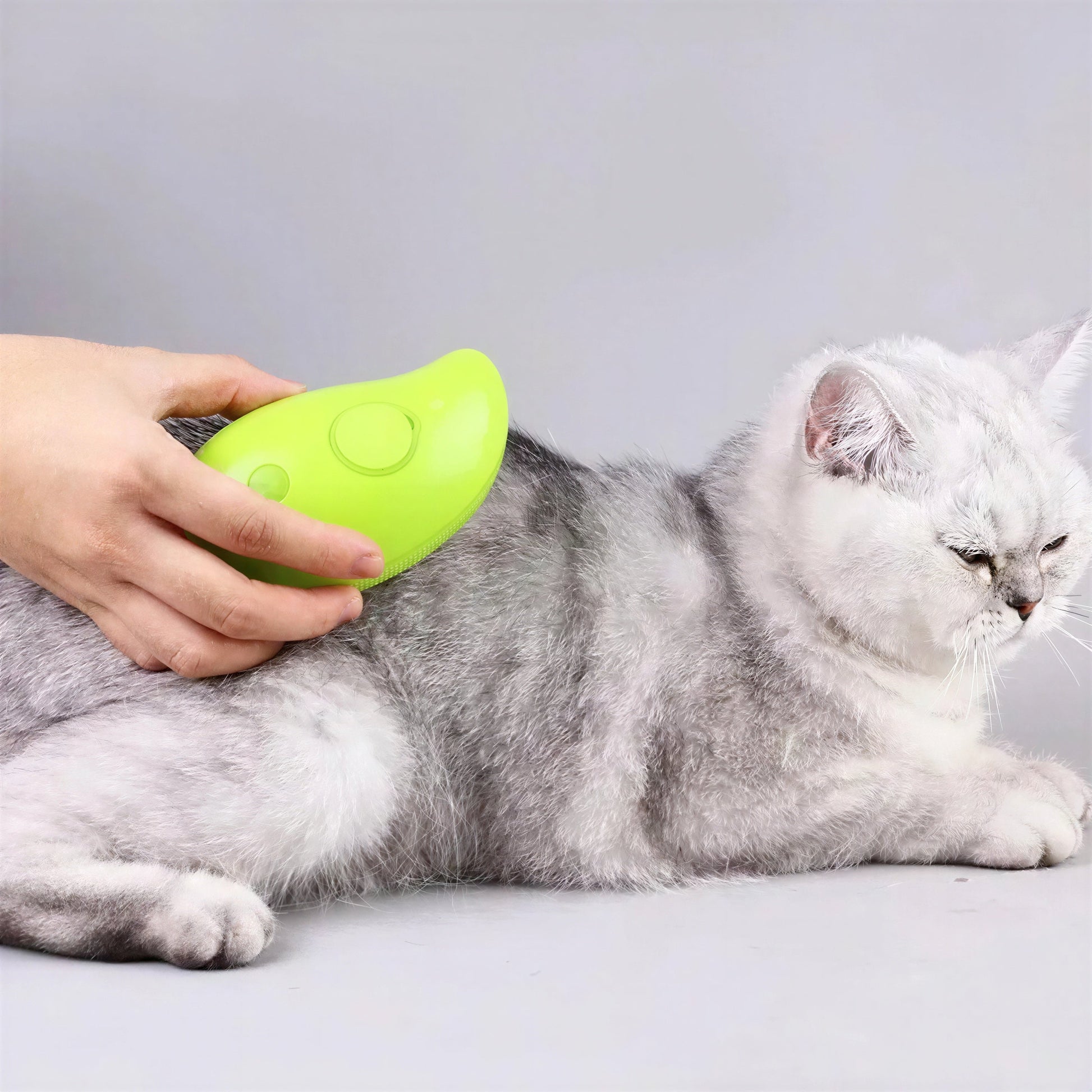 Brosse Chat Poil Long à Vapeur et Électrique Pour toi Mon chat
