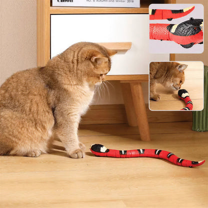 Jouet pour Chat - Serpent Interactif Pour toi Mon chat