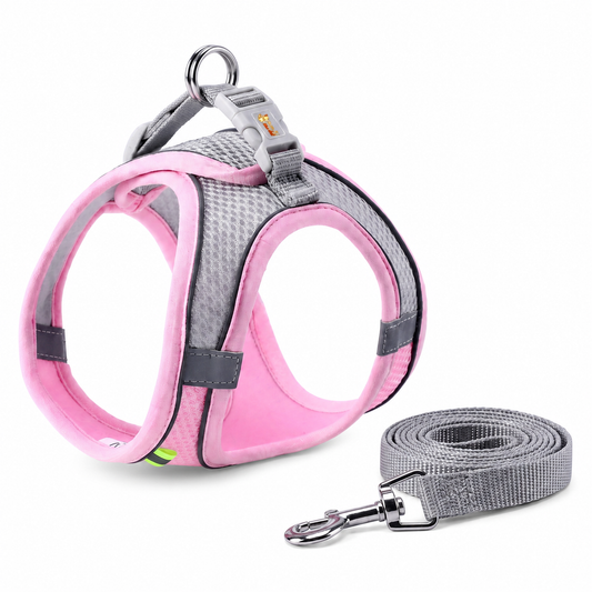 Ensemble de laisse et maille réglable pour chat Pour toi Mon chat