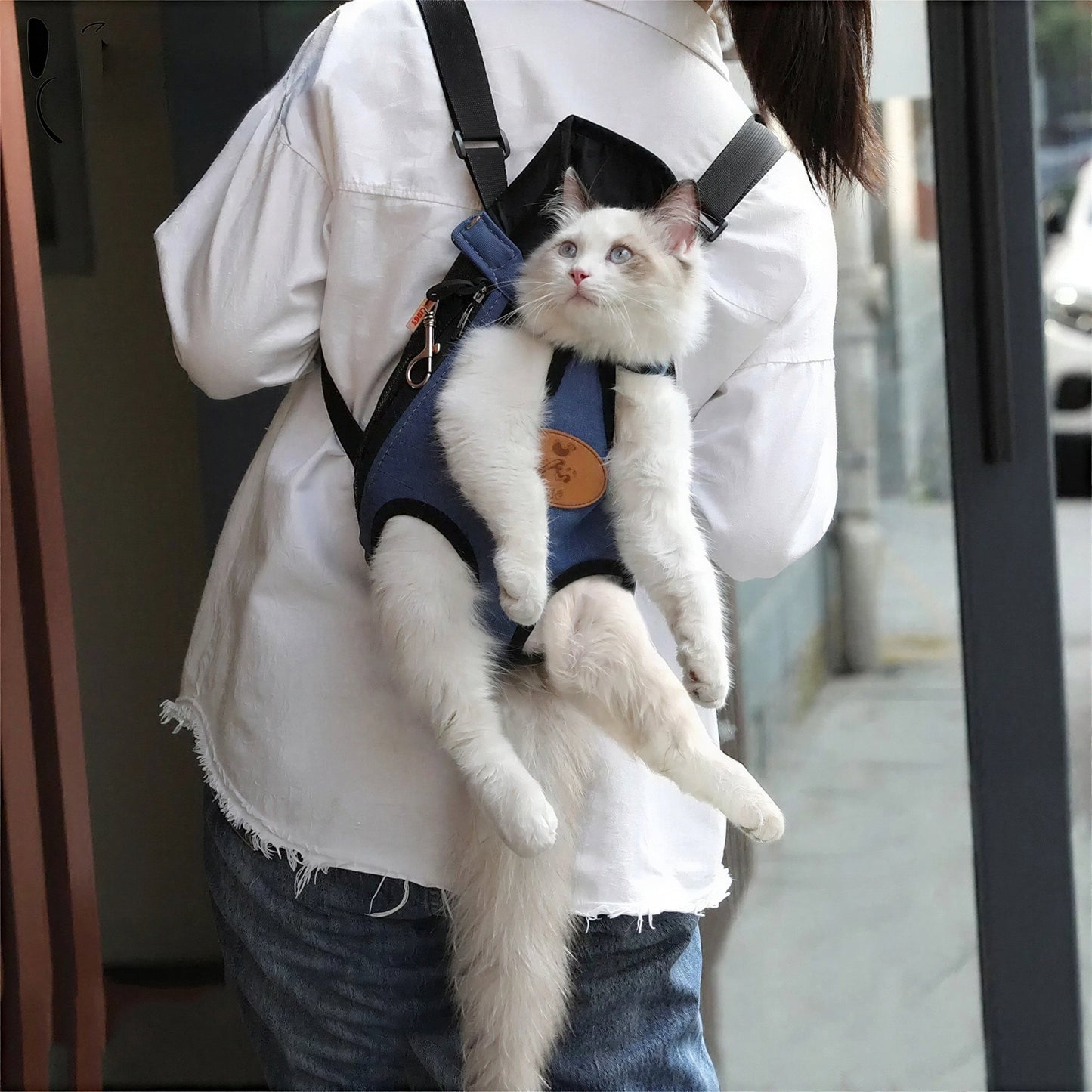 Sac à dos de transport pour chat en plusieurs couleurs Pour toi Mon chat