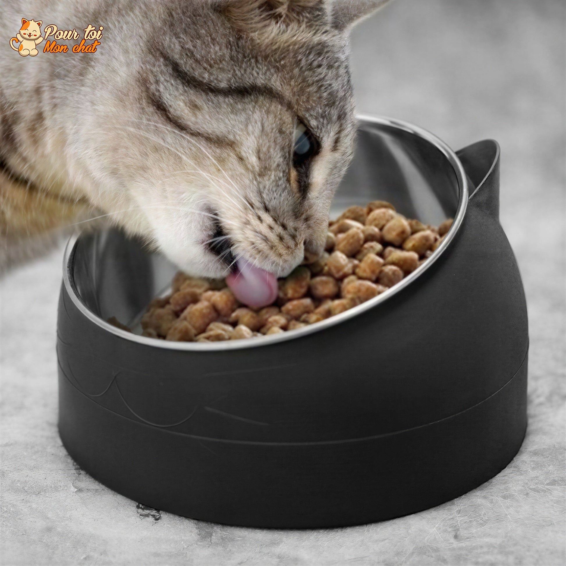 Gamelle Inclinée pour Chat - KittyBowl™ Pour toi Mon chat