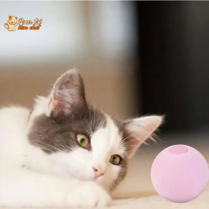 Balle avec des sons d'animaux - Music'Balls™ Pour toi Mon chat