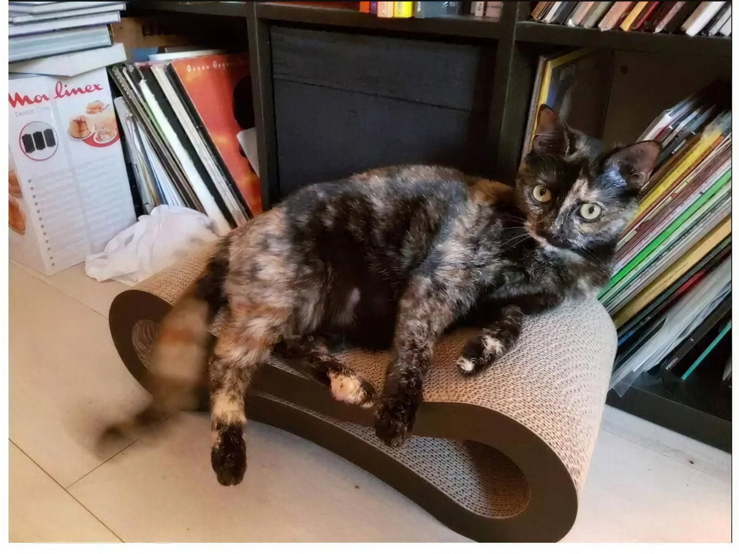Lit à gratter pour chat en carton ondulé Pour toi Mon chat