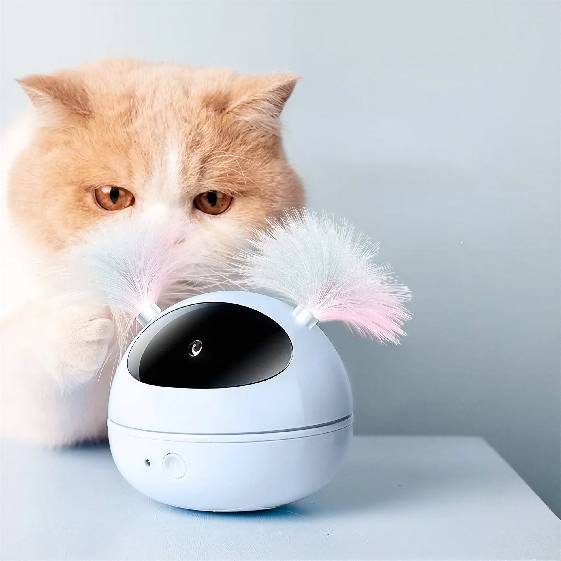 Jouet rotatif électrique lumineux à laser avec plumes pour chat Pour toi Mon chat