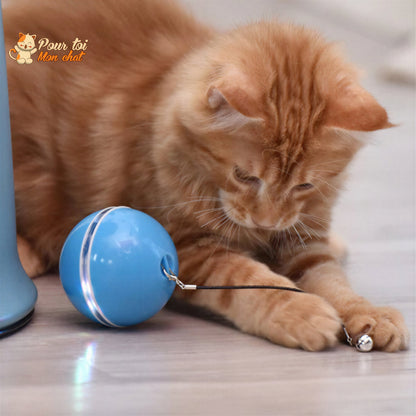 Balle Interactive pour Chat - RollChat™ Pour toi Mon chat