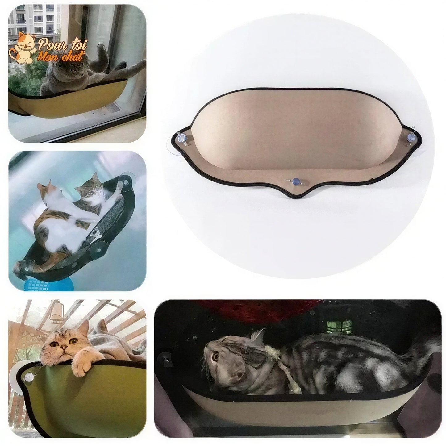 Lit suspendu à ventouses pour chat - Hamac-Fenêtre-Chat™ Pour toi Mon chat