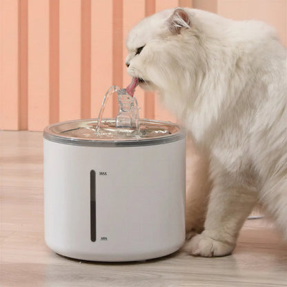 Fontaine automatique en acier inoxydable pour chat Pour toi Mon chat