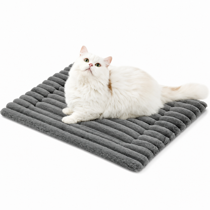 Lit auto-chauffant pour chats Pour toi Mon chat