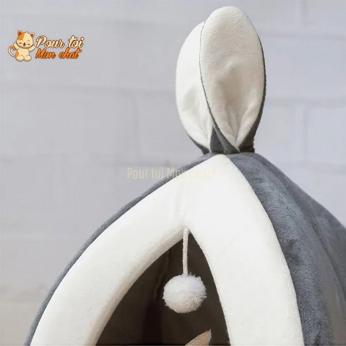 NICHE ORIGINALE À OREILLES DE LAPIN POUR CHAT – Oreill’Chat™ Pour toi Mon chat