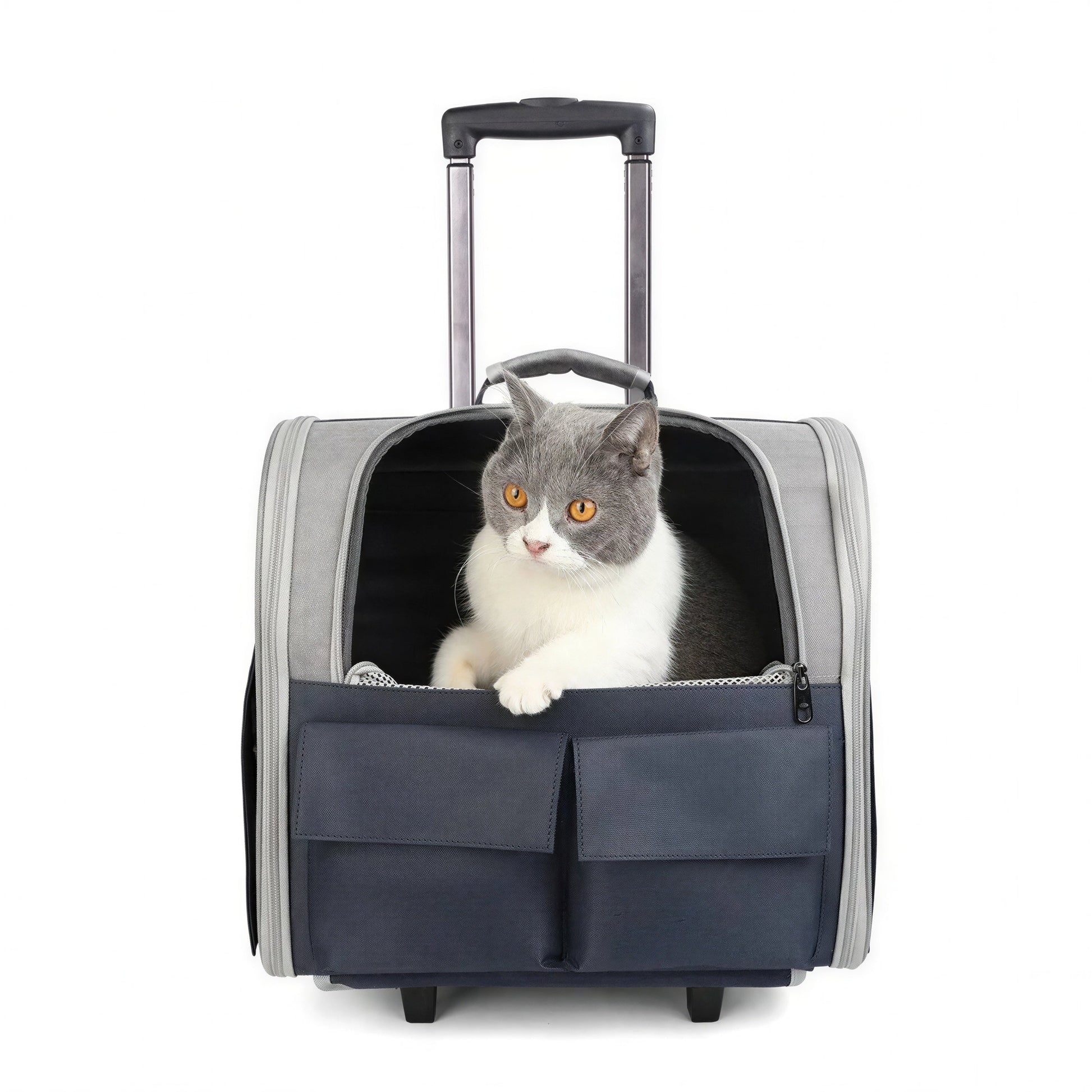 Sac de transport pliable pour chat Pour toi Mon chat