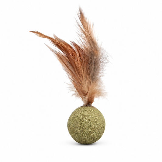 Herbe à Chat Ronde avec une Plume - vue 1