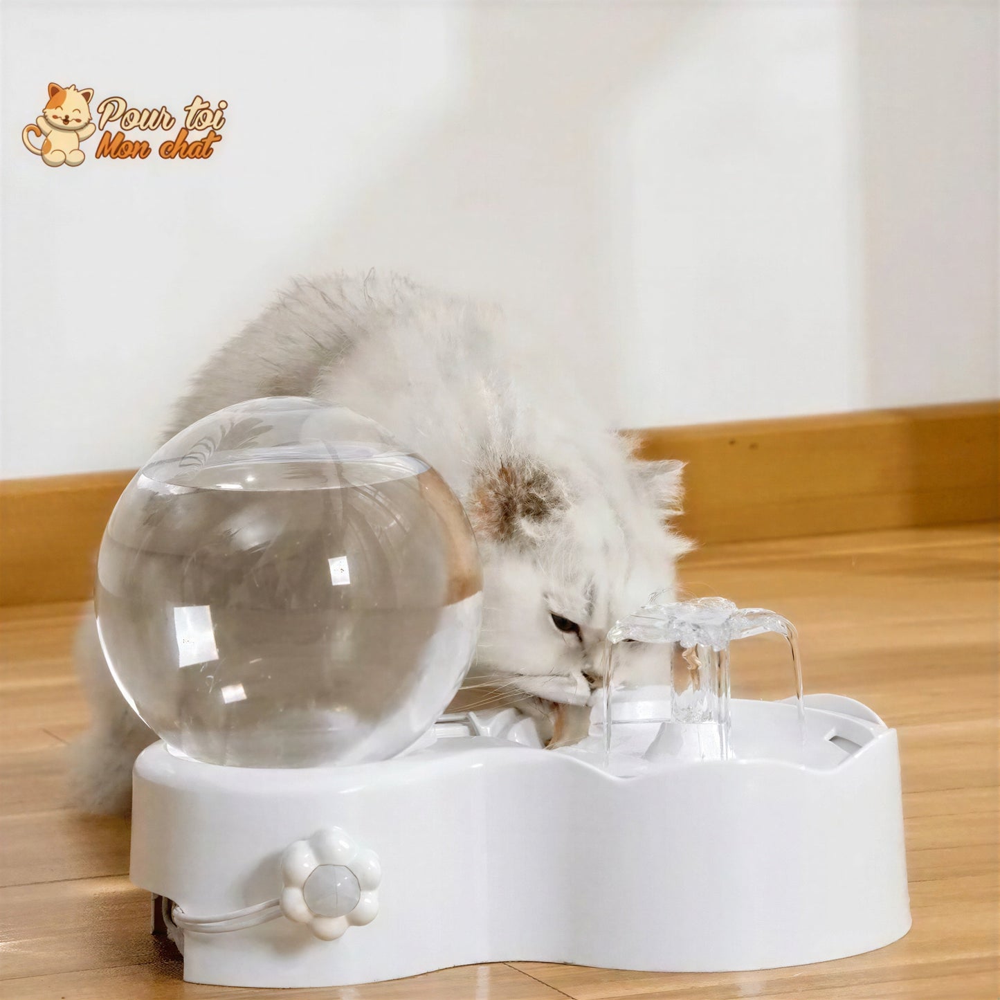 Fontaine pour chat avec pompe à eau silencieuse avec capteur de mouvement Pour toi Mon chat