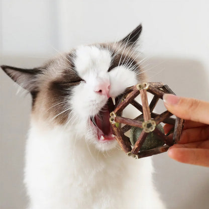 Jouet de bâtonnets en bois avec boule de cataire pour chat Pour toi Mon chat