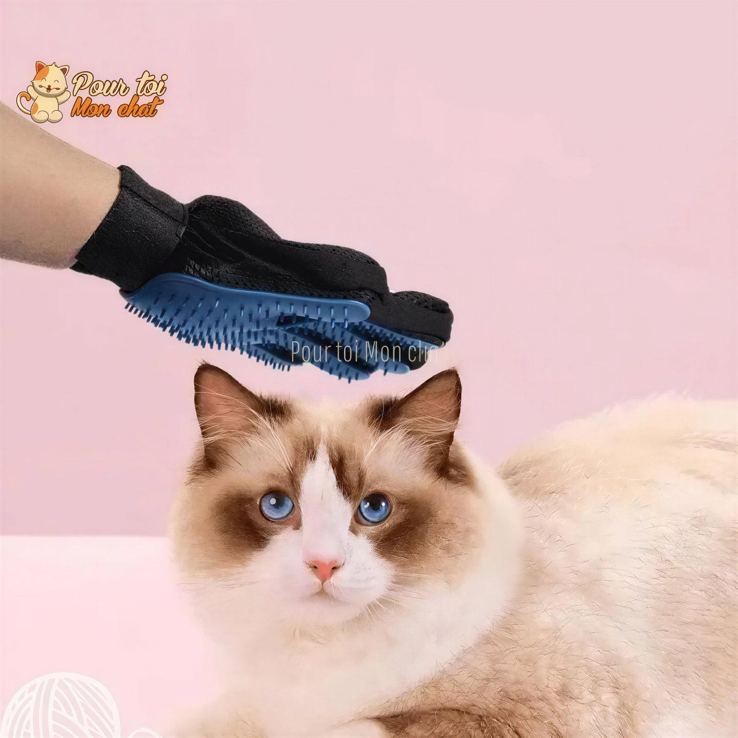Gant de toilettage et de massage pour chat - Clean'Cat™ Pour toi Mon chat