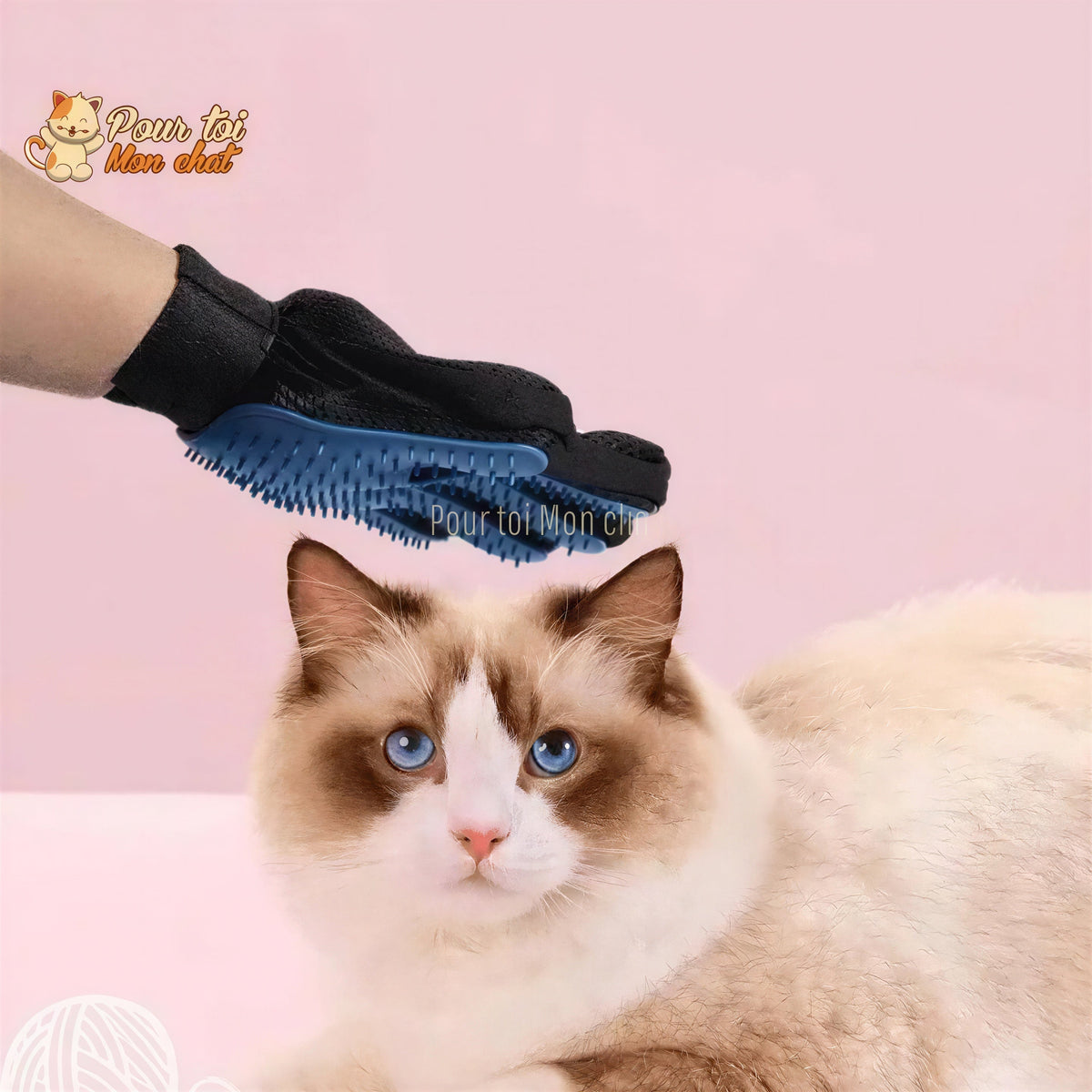 Gant de toilettage et de massage pour chat - Clean'Cat™ Pour toi Mon chat