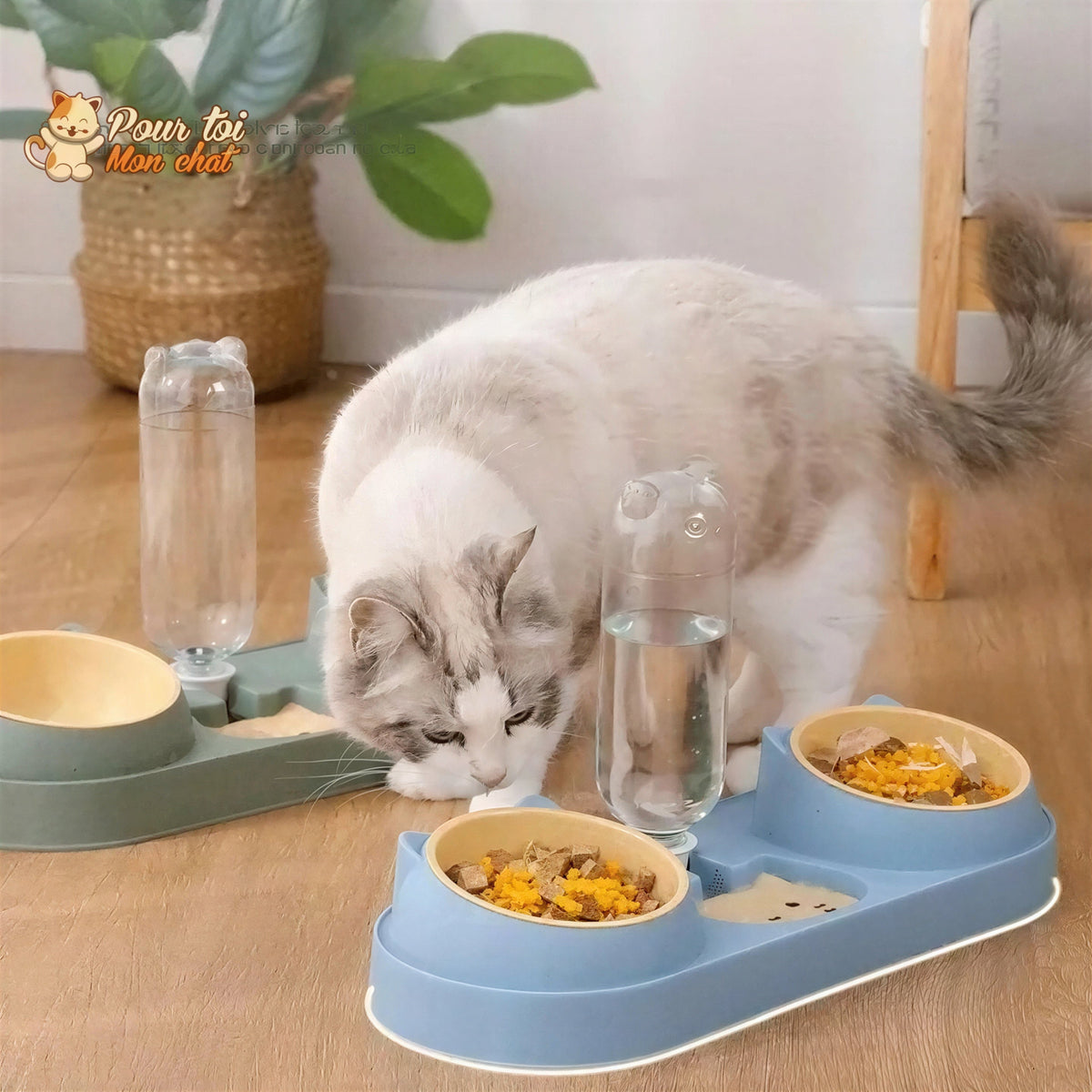 Fontaine à eau et bols à croquettes et friandises pour chat - Perfect Trio Pour toi Mon chat