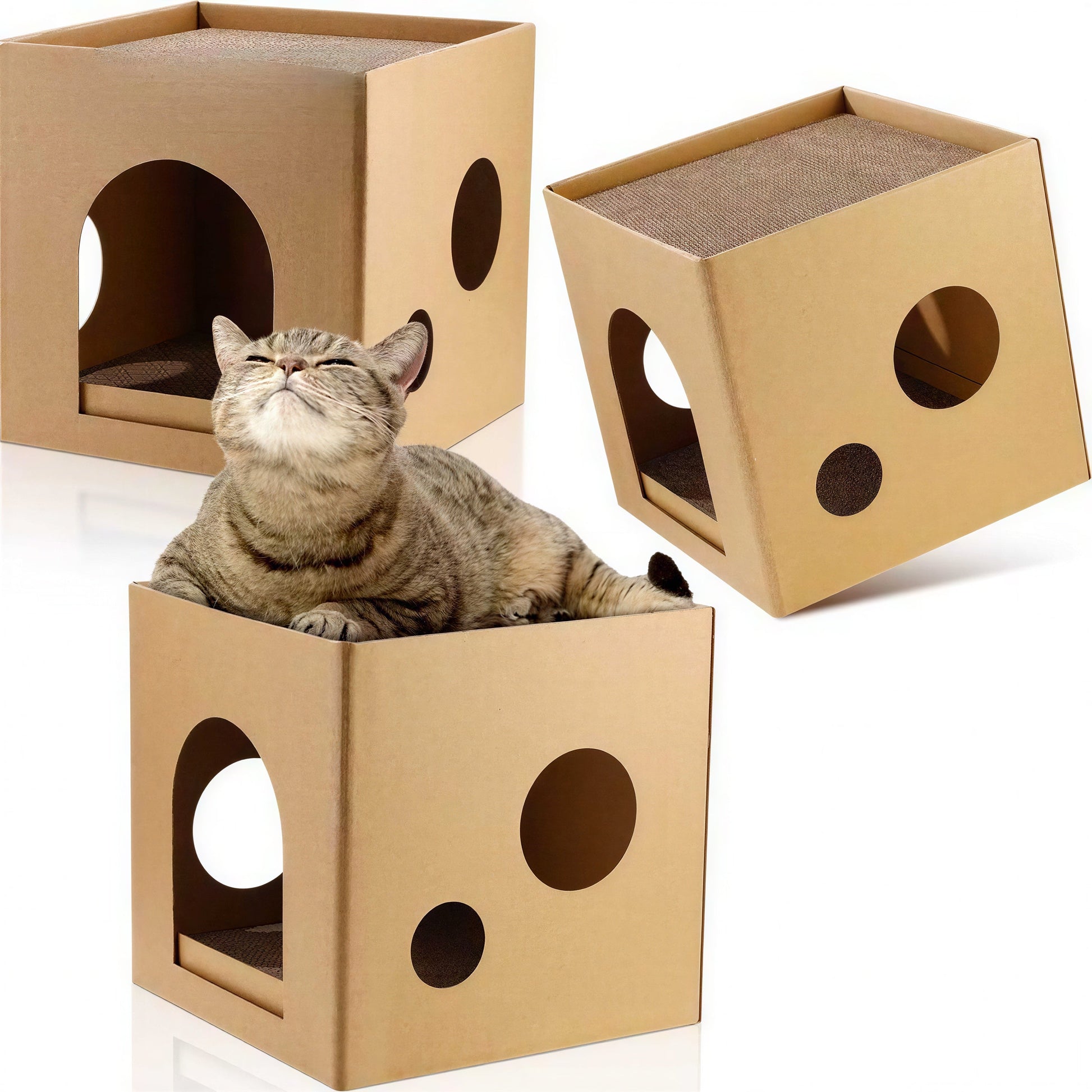 Maison en carton ondulé à gratter pour chat Pour toi Mon chat